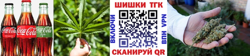 Купить закладки  Салехард  Cannafood марихуана 