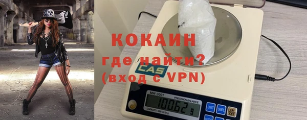 хмурый Магас