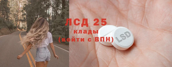 хмурый Магас