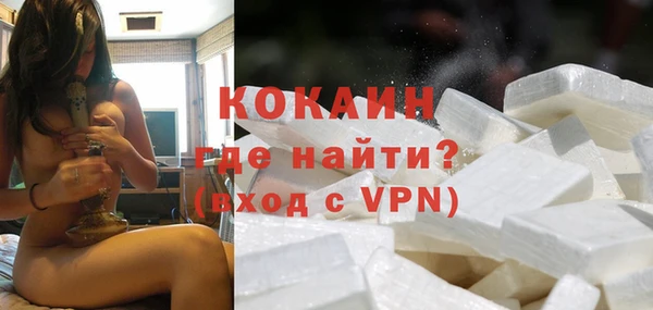 хмурый Магас