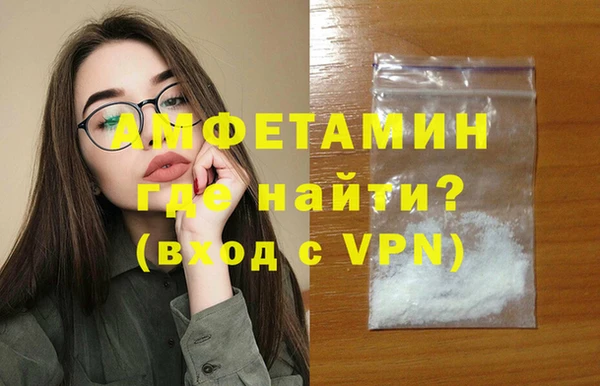хмурый Магас