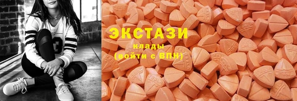 хмурый Магас
