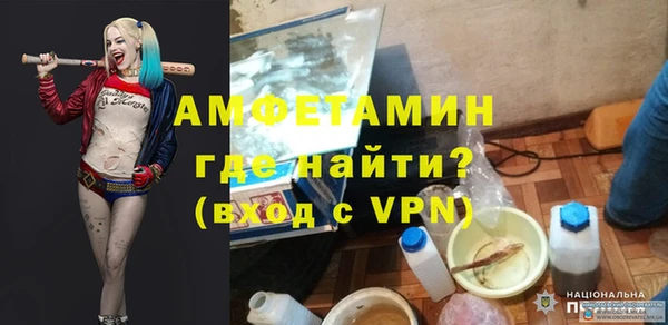 хмурый Магас